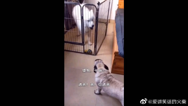 三、深入人心的情感表达